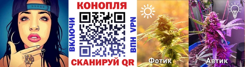 Бошки Шишки ГИДРОПОН  Спасск-Рязанский 